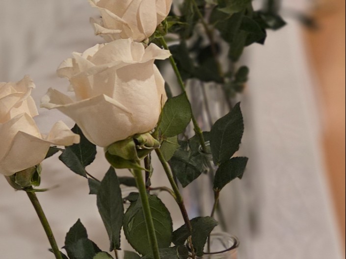 December 6th, 2025: Gallery Walk-through Activity